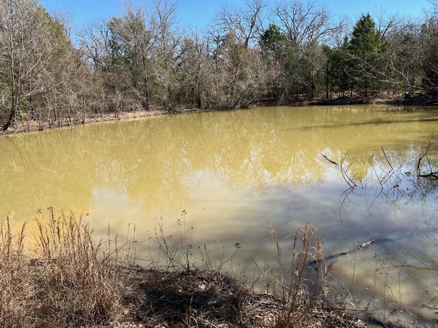 601 Pritchett Ln, Kemp, TX 75143 - water view