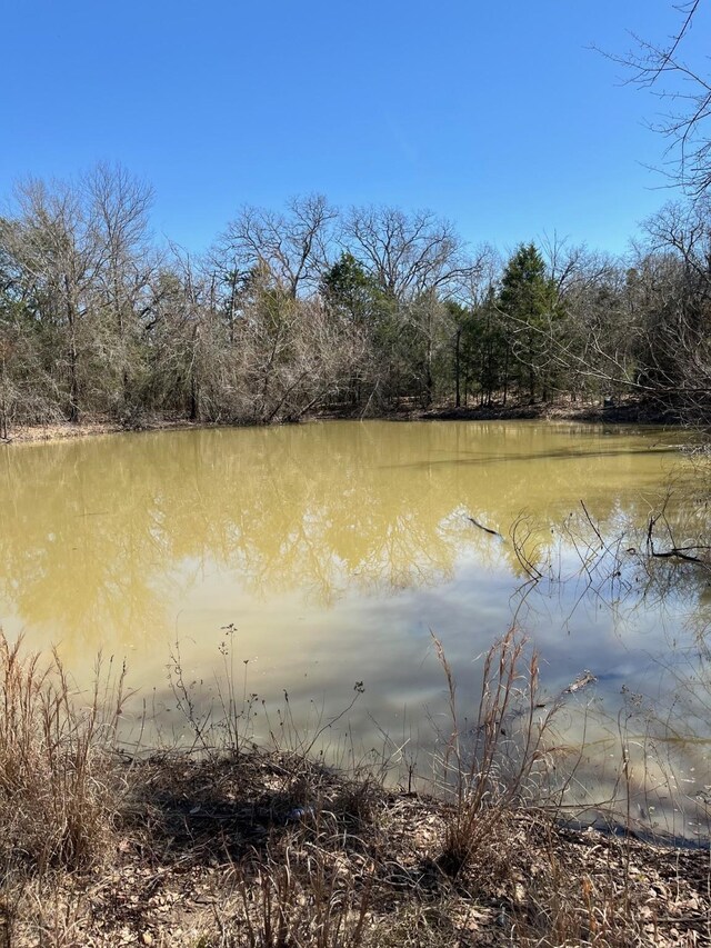 601 Pritchett Ln, Kemp, TX 75143 - water view