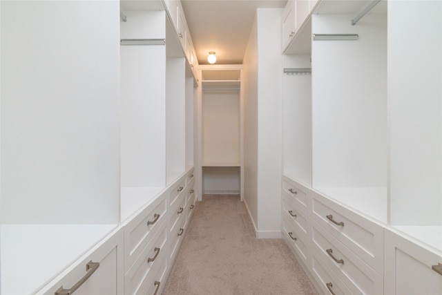 spacious closet with light carpet