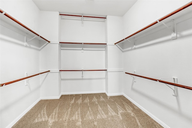 walk in closet with carpet