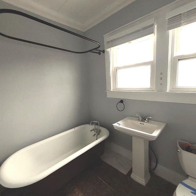 full bathroom featuring a freestanding bath, a sink, and toilet