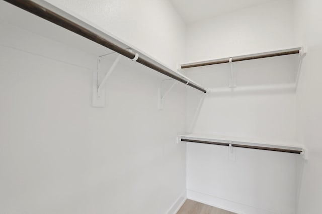 spacious closet featuring light wood finished floors