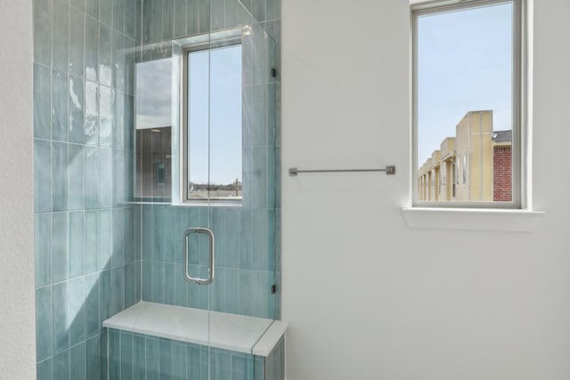 bathroom featuring a shower stall