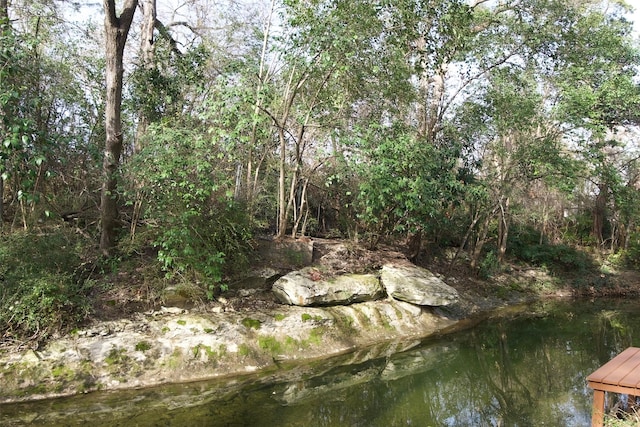 view of local wilderness featuring a forest view