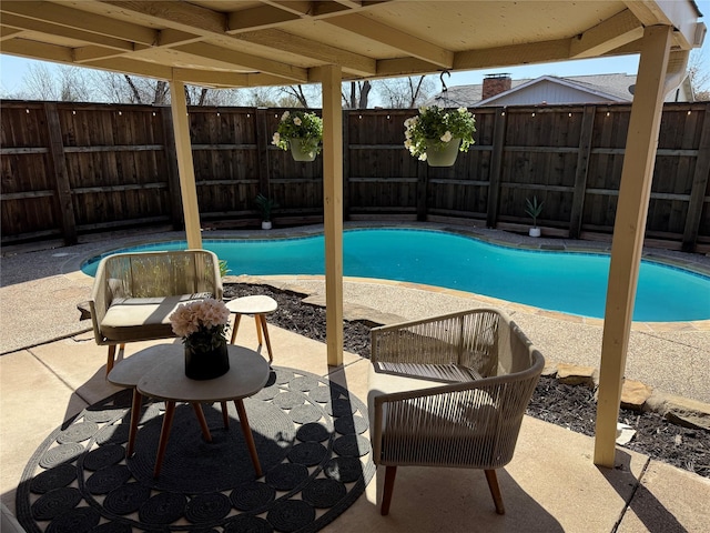 view of swimming pool featuring a fenced in pool, a patio, and a fenced backyard