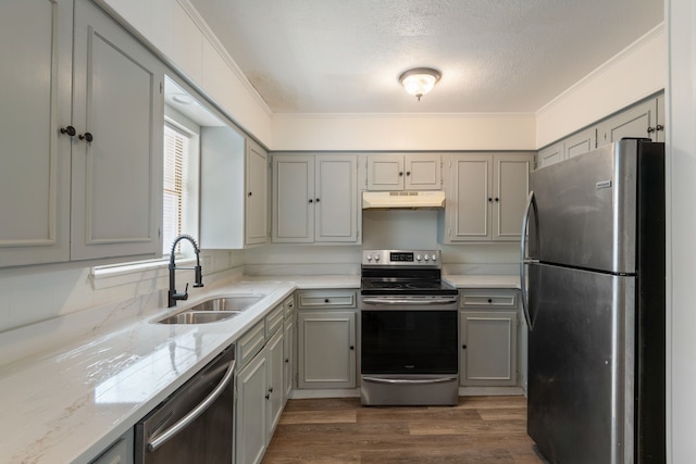 kitchen featuring stainless steel appliances, gray cabinets, a sink, and under cabinet range hood