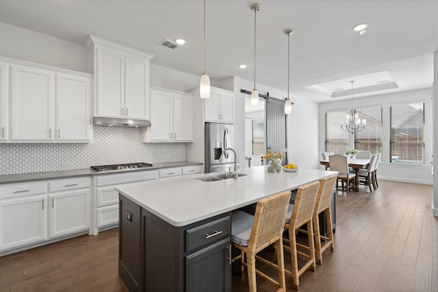 kitchen with a tray ceiling, stainless steel appliances, visible vents, a sink, and under cabinet range hood