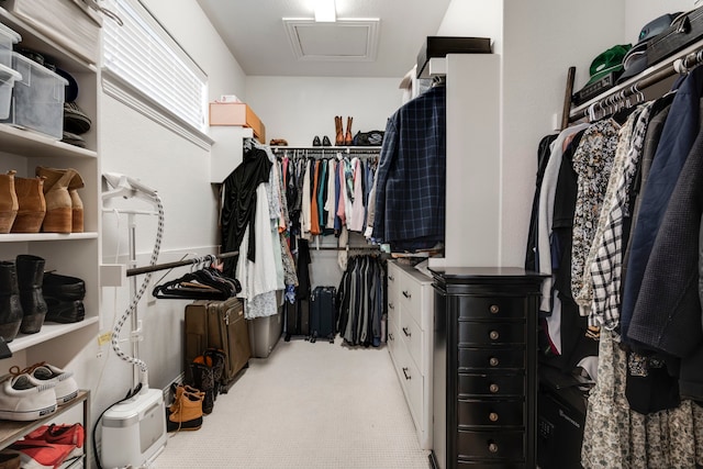 walk in closet featuring carpet floors and attic access