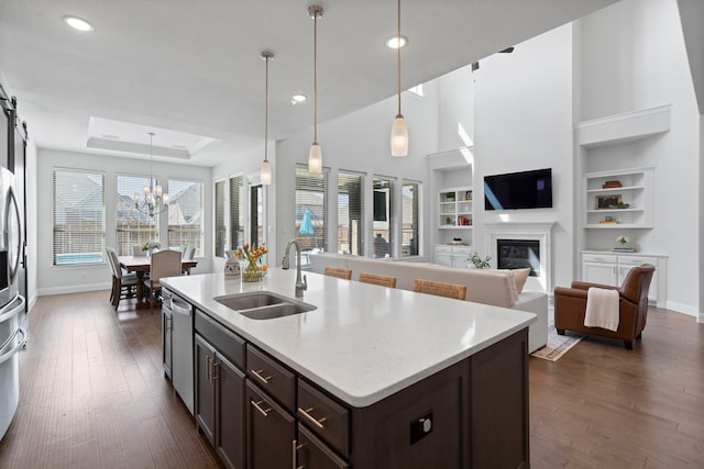 kitchen featuring a raised ceiling, a glass covered fireplace, dark wood-type flooring, stainless steel appliances, and a sink