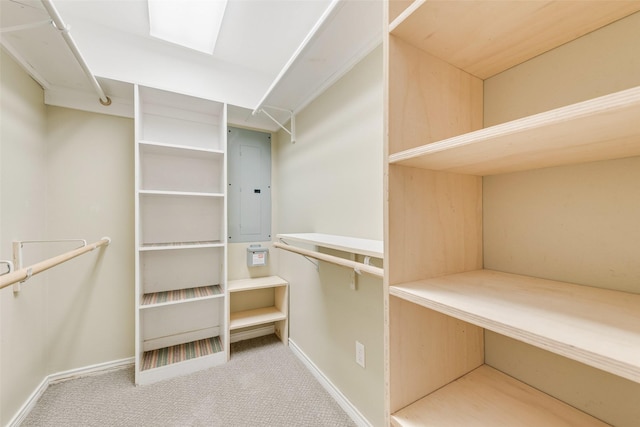 walk in closet with a skylight, electric panel, and carpet flooring