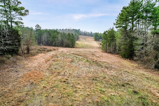 view of local wilderness with a forest view