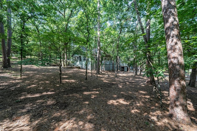 2682 Holly Trl E, Holly Lake Ranch, TX 75765 - view of yard