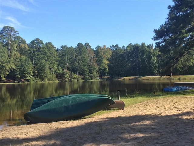 view of home's community with a water view and a forest view