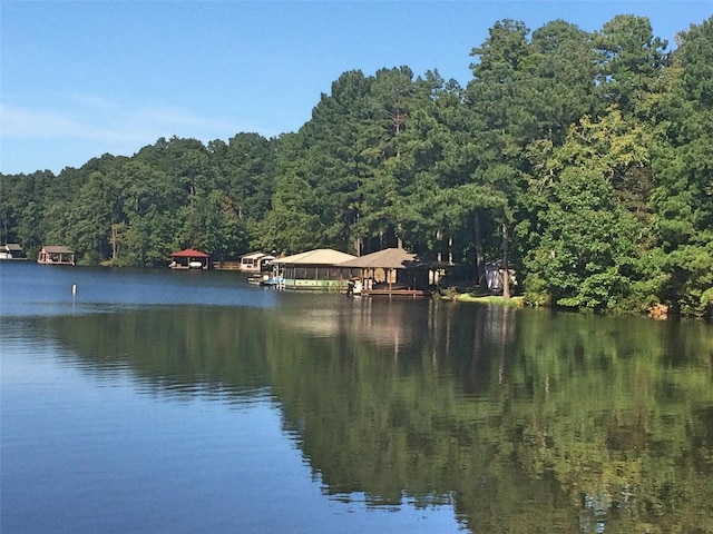 property view of water with a forest view