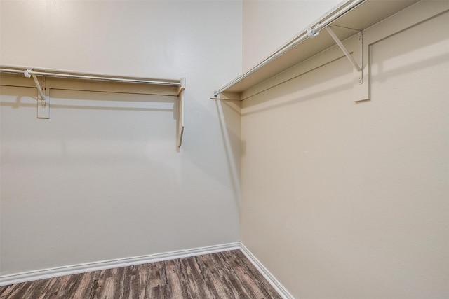 spacious closet with dark wood-style floors