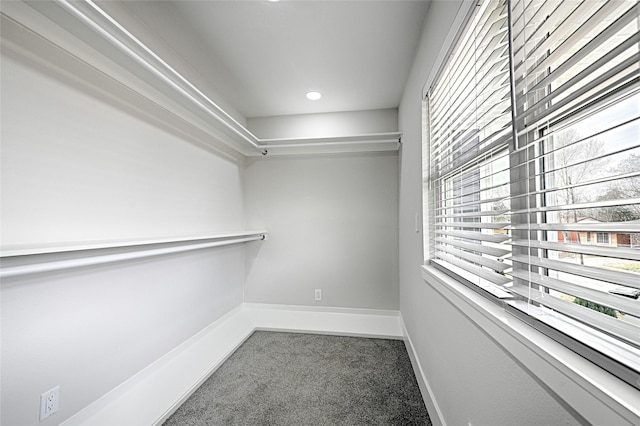 spacious closet with carpet floors