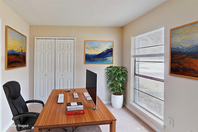 office featuring carpet floors and baseboards