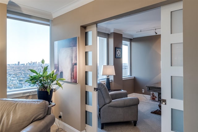 living area featuring crown molding, rail lighting, carpet, and a wealth of natural light