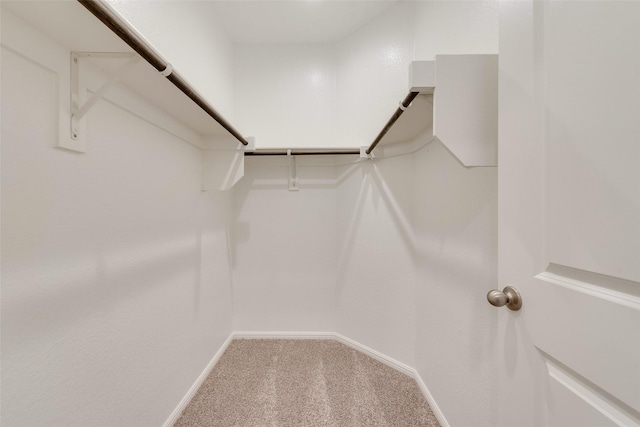 walk in closet with carpet flooring