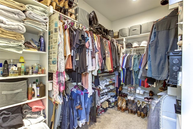 spacious closet with carpet flooring