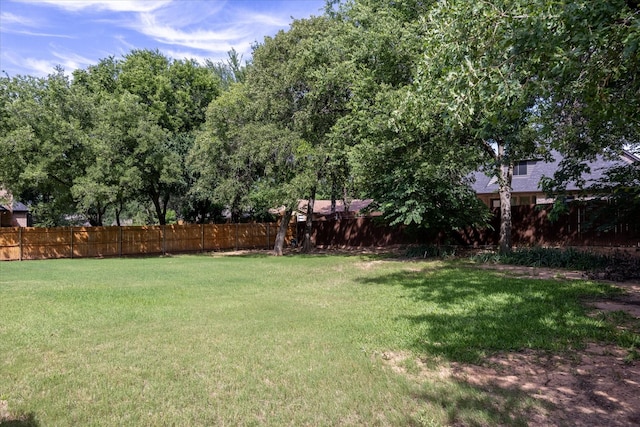 9705 Whitney Ct, Granbury, TX 76049 - view of yard