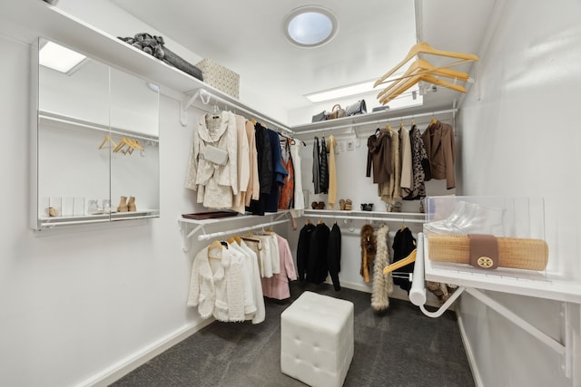 spacious closet featuring carpet floors