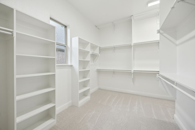 spacious closet featuring carpet