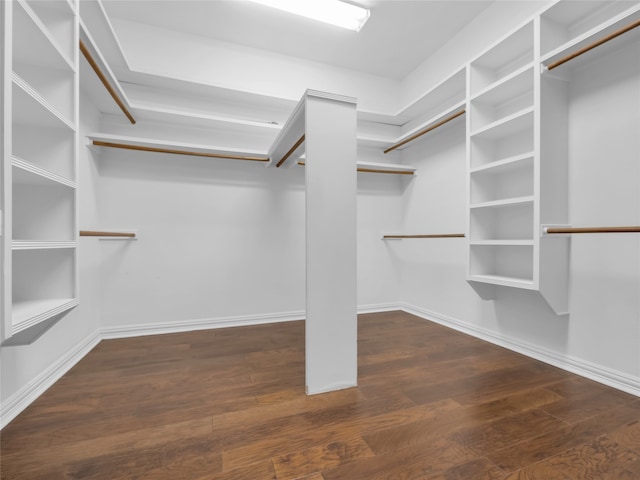 spacious closet featuring wood finished floors