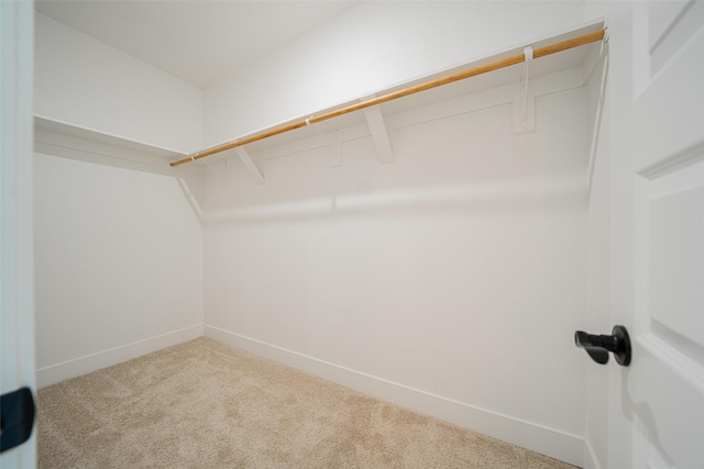 walk in closet with carpet floors