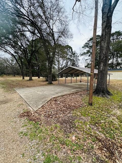 view of yard featuring a carport and driveway