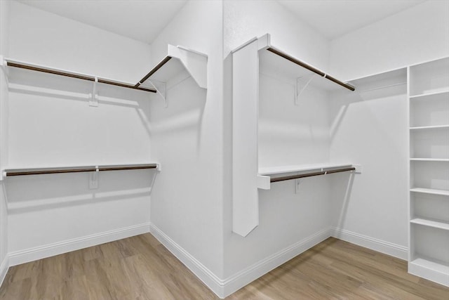 spacious closet featuring wood finished floors