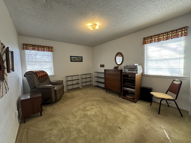 living area featuring a textured ceiling and light colored carpet