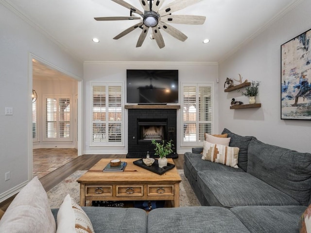 living room with ceiling fan, a fireplace, ornamental molding, and wood finished floors