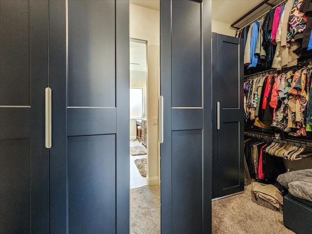 spacious closet featuring carpet flooring