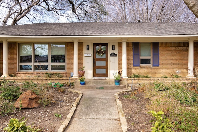 doorway to property with a shingled roof, a porch, and brick siding