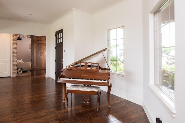 living area with baseboards, ornamental molding, and wood finished floors