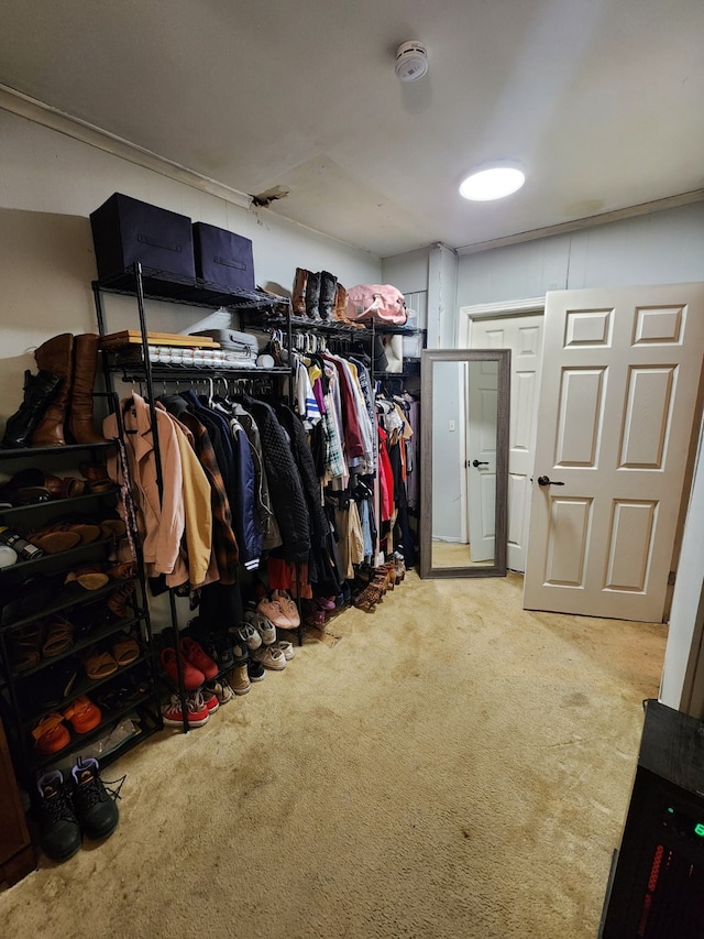 spacious closet with carpet floors