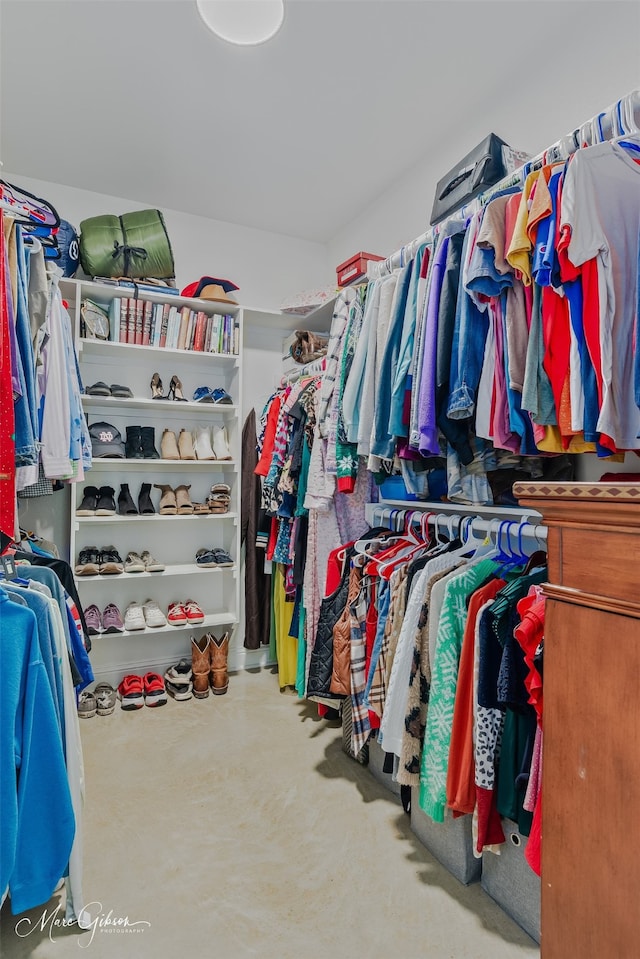 view of spacious closet