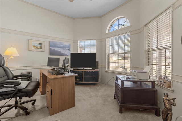 office space featuring ornamental molding, a wealth of natural light, light colored carpet, and a textured ceiling