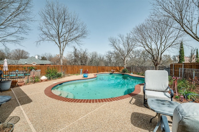 view of swimming pool featuring a fenced in pool, a patio area, and a fenced backyard