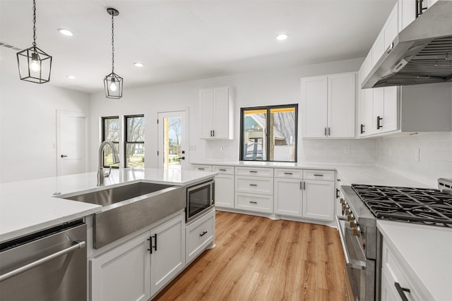 kitchen with a sink, tasteful backsplash, ventilation hood, appliances with stainless steel finishes, and light wood finished floors