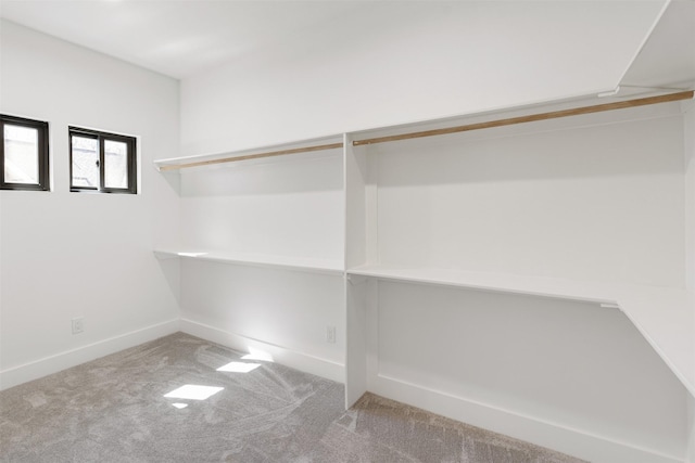 spacious closet featuring carpet floors