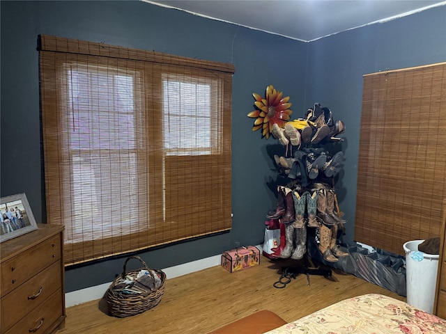 interior space with wood finished floors