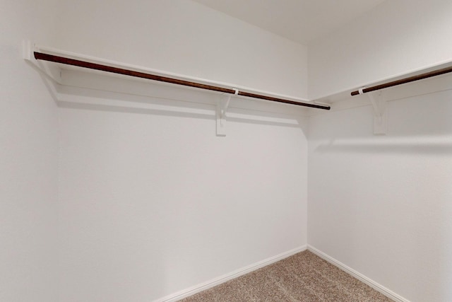 spacious closet with carpet floors