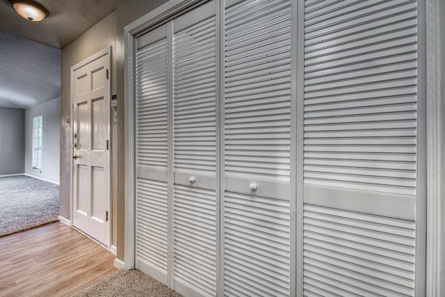 room details with baseboards and carpet flooring