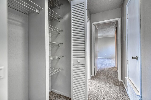 walk in closet featuring carpet