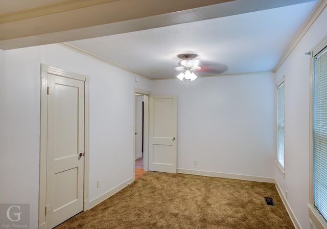 carpeted spare room featuring a ceiling fan, baseboards, visible vents, and crown molding