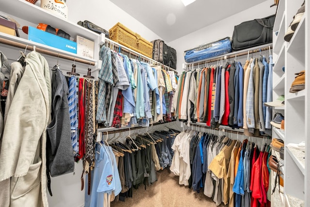 walk in closet featuring carpet