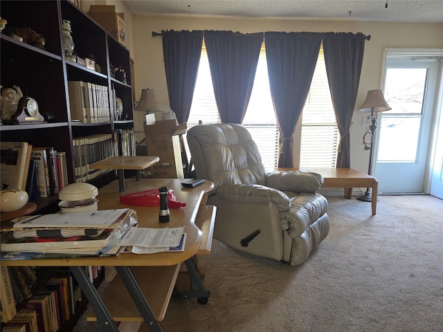 interior space featuring a textured ceiling and carpet flooring