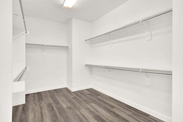 spacious closet with dark wood finished floors